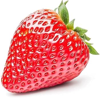 いちご様ご依頼品 楽天市場】【ふるさと納税】とちひめ とちあいか プレミアム 幻